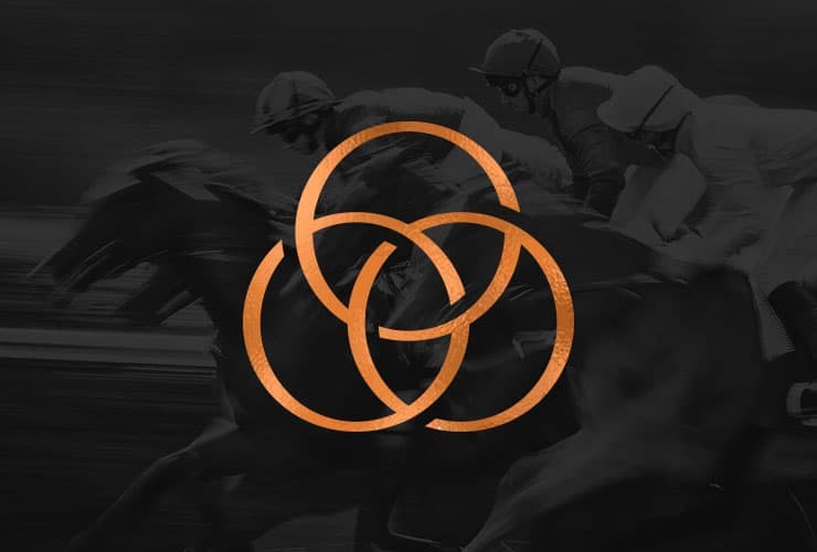 Work - SED Digital O'Neill Racing | Web Build | Digital Marketing | SEO | Work SED Digital